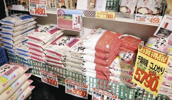 JAの概要と米単価の原因：中抜き事情
