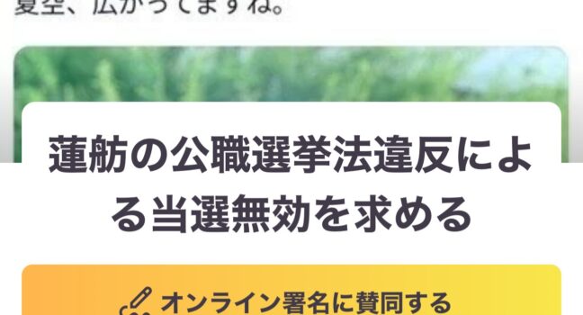 蓮舫の公職選挙法違反と国民の声